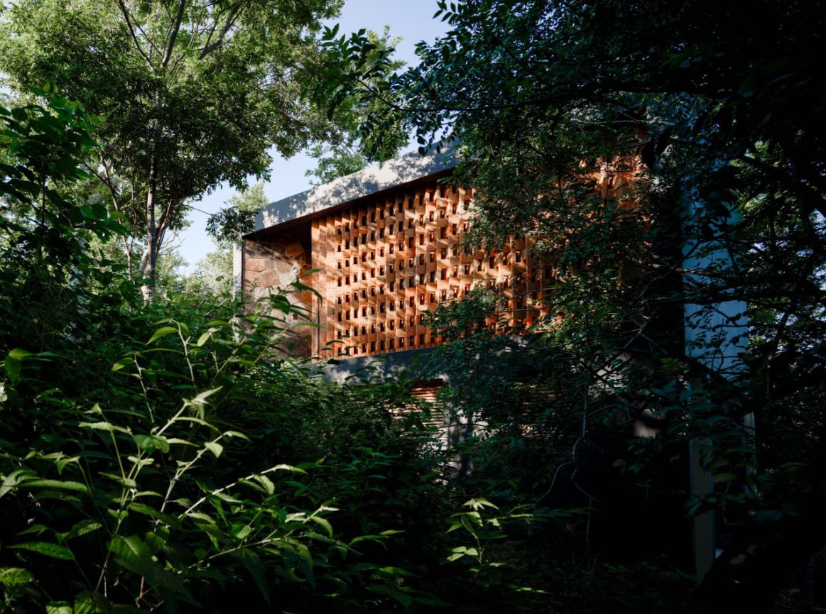 Bungaló entre la selva del hotel boutique Cocolia  
