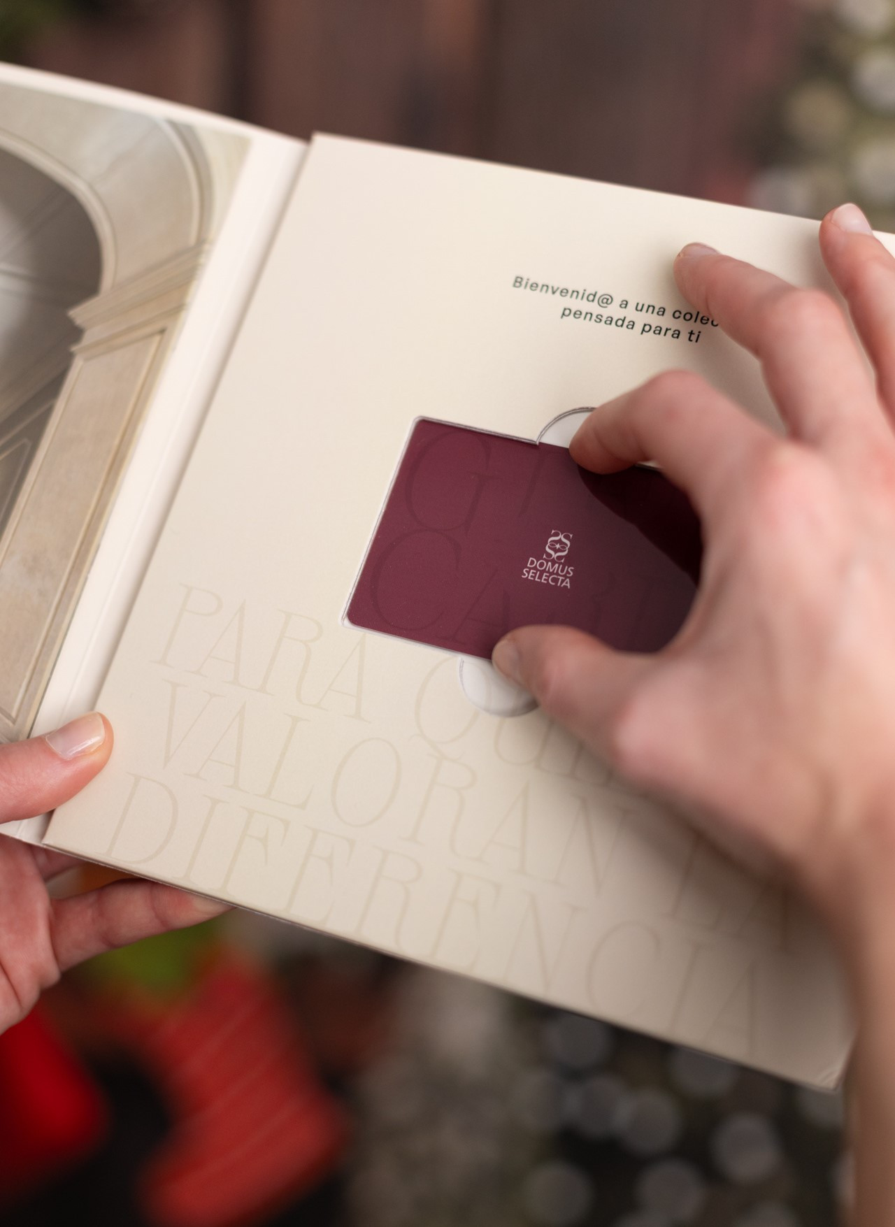 La Gift Card Domus Selecta es el regalo perfecto para San Valentín 