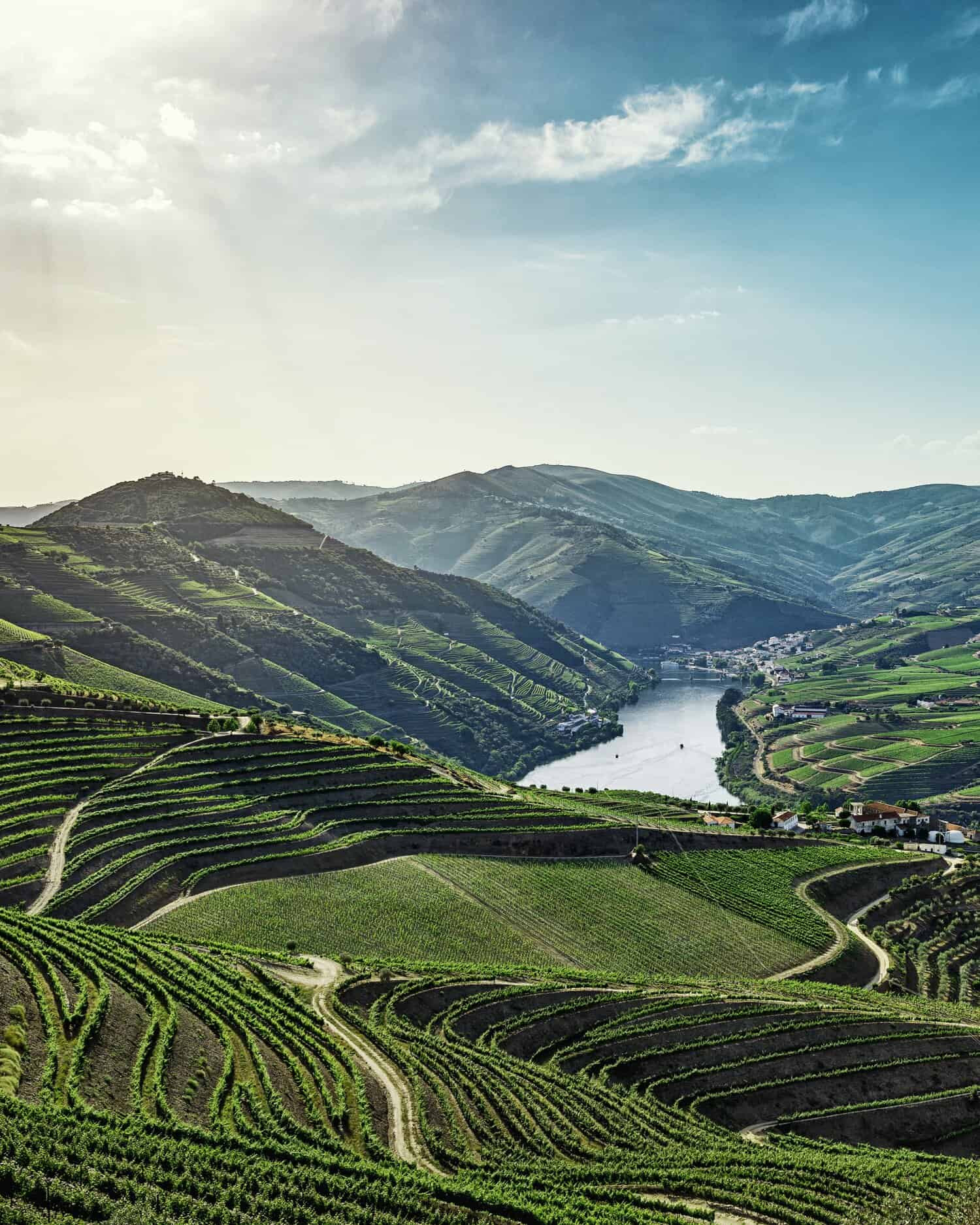 Views of the Douro Valley wine region 