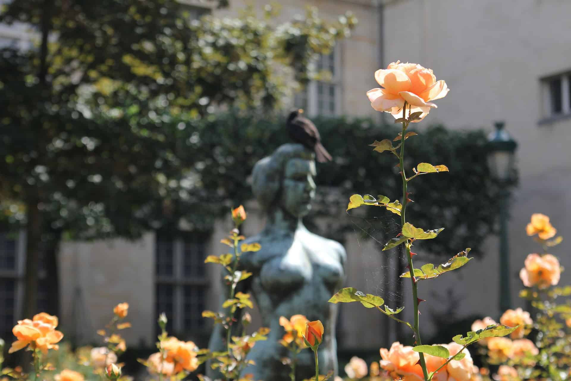 Flowers and statues at one of Paris' gardens