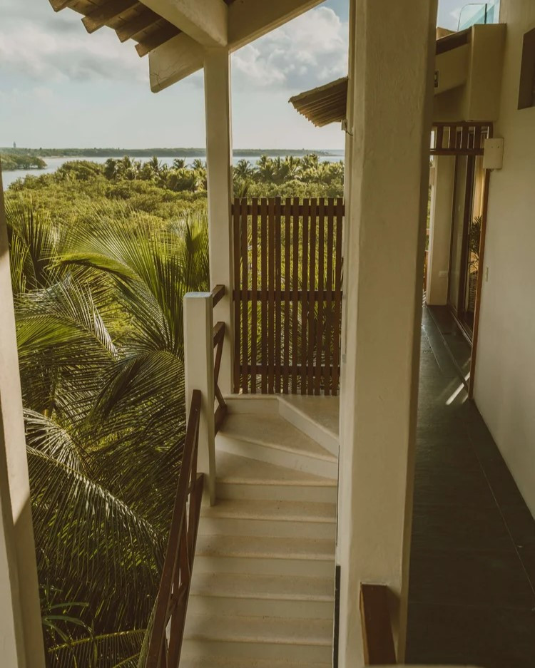 Vistas a la selva desde Jashita Tulum
