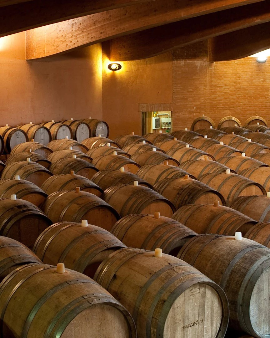 Sparkling wine cellar in Franciacorta