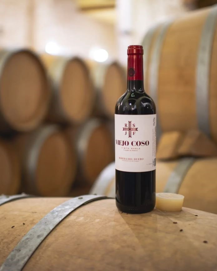 Wine cellar and tasting visit in Ribera del Duero